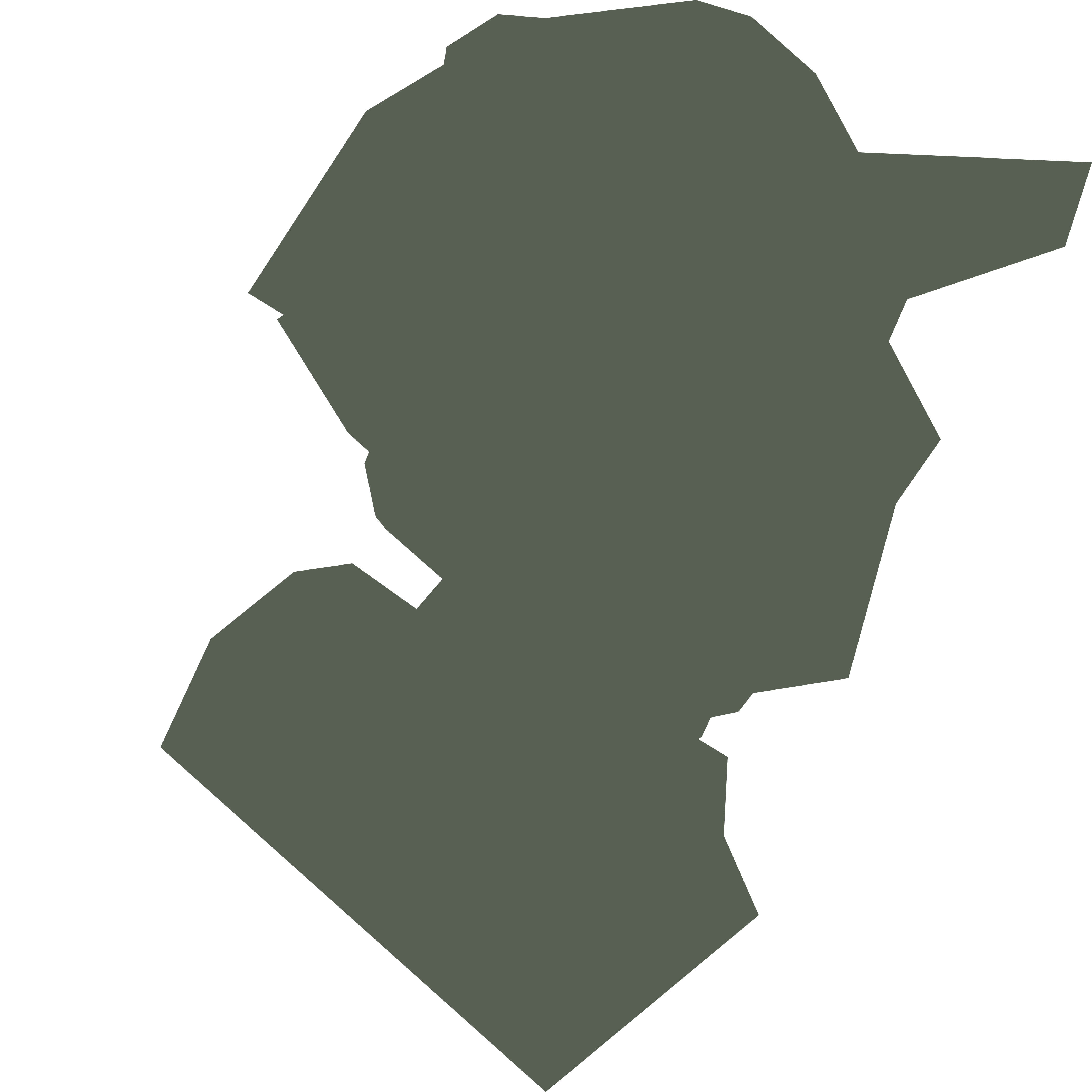 description of image