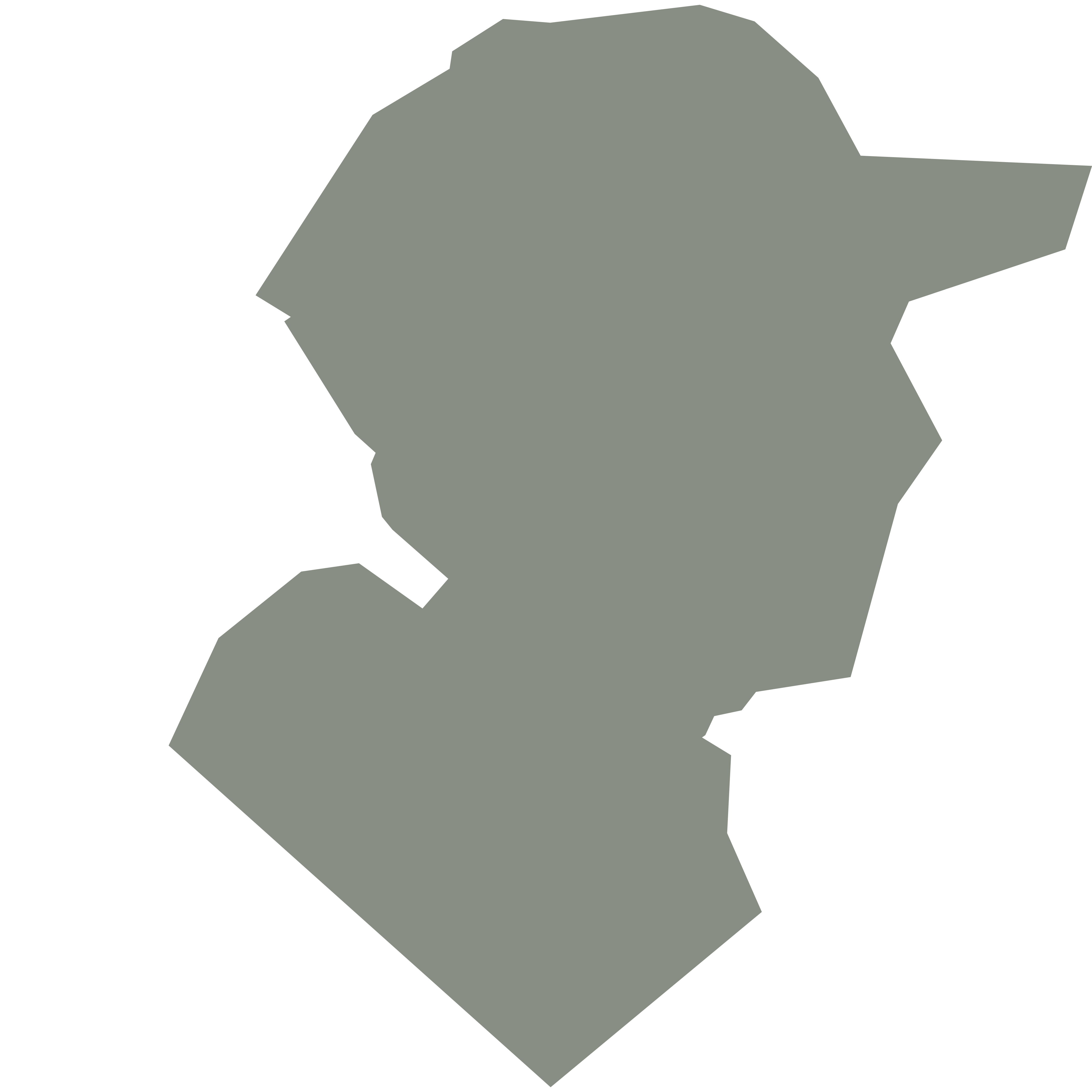 description of image