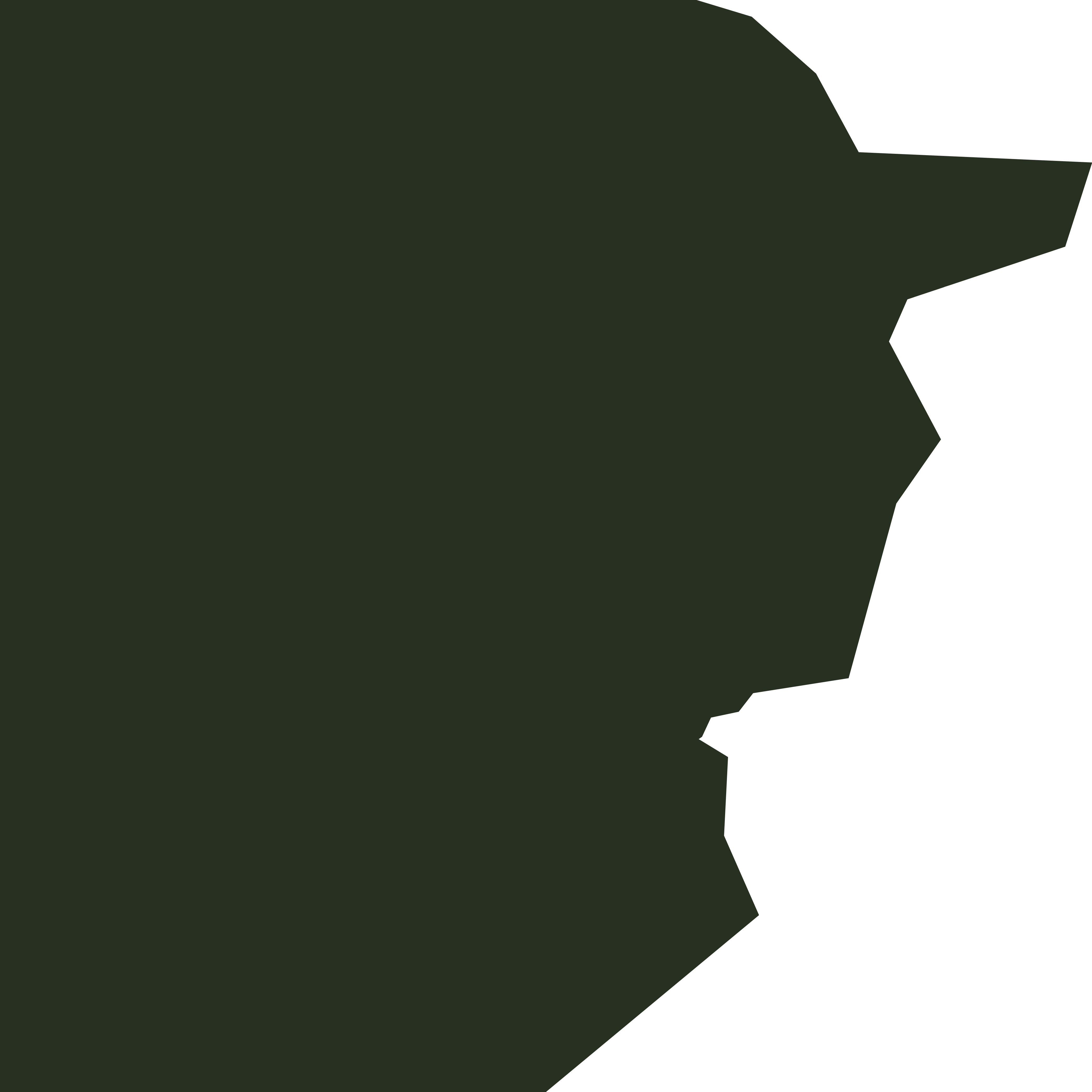description of image